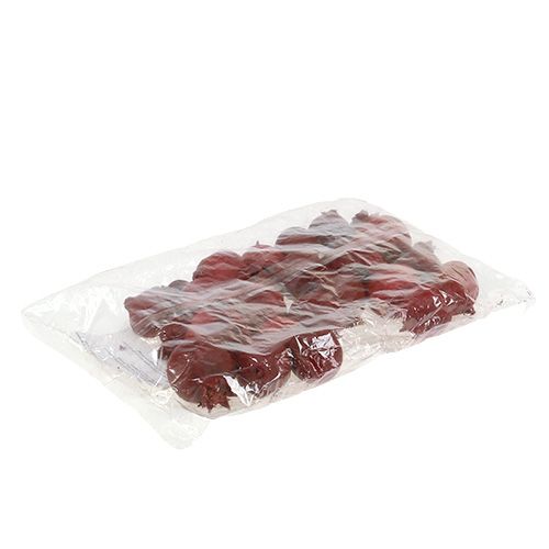 Floristik24 Pomegranates 250g