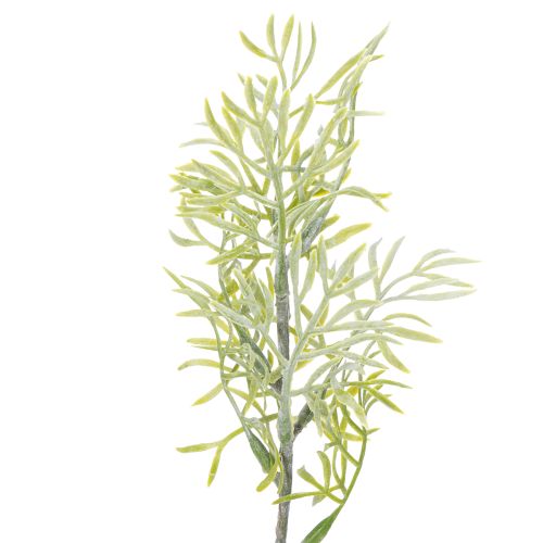 Product Ornamental asparagus branch, natural addition to flower bouquets, 34cm, 7 pieces