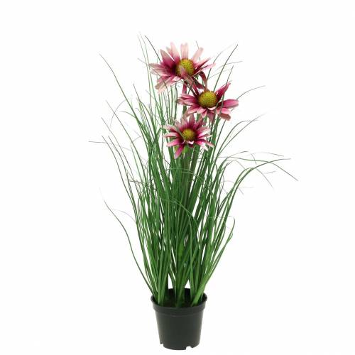 Product Artificial grass with Echinacea in a Pink 44cm pot