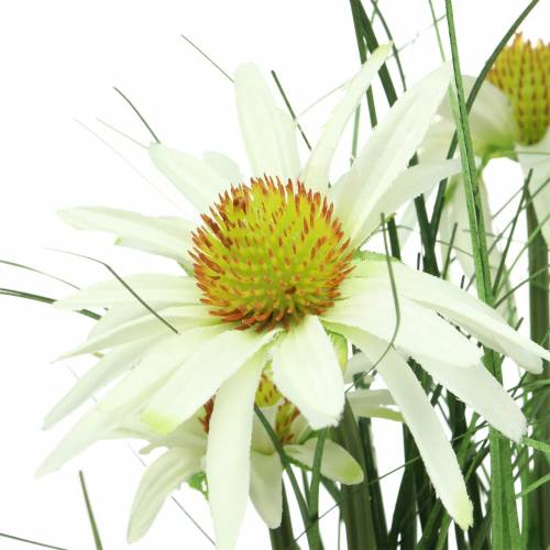 Product Artificial grass with Echinacea in a white pot 52cm