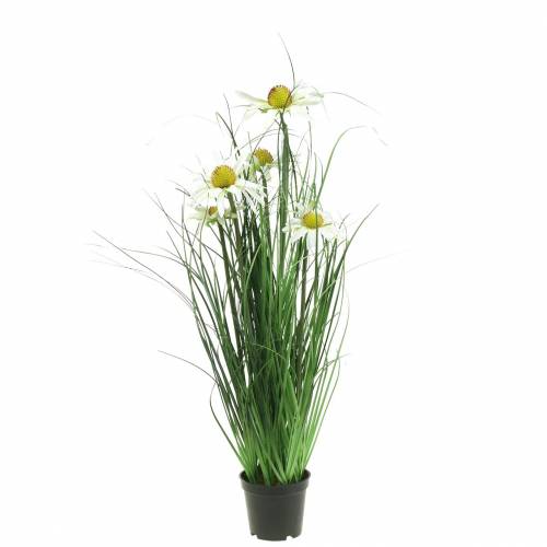 Floristik24 Artificial grass with Echinacea in a white pot 52cm
