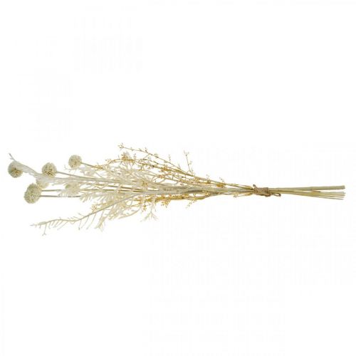 Product Dry grasses artificial pampas grass allium cream, beige H60cm