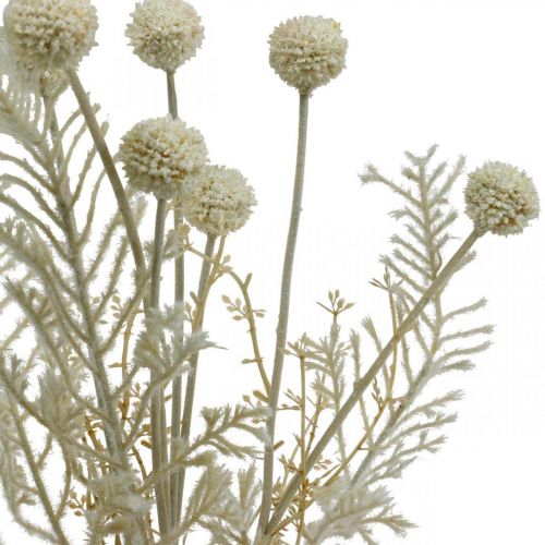 Product Dry grasses artificial pampas grass allium cream, beige H60cm