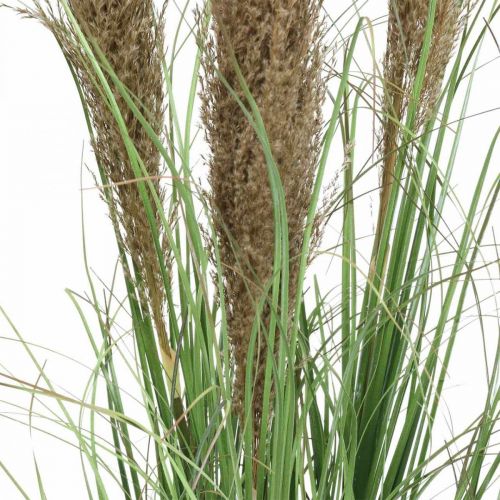 Product Artificial sedge in a pot with dry flowers green, brown 98cm