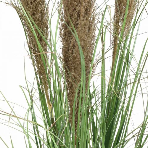 Floristik24 Artificial sedge in a pot with dry flowers green, brown 98cm