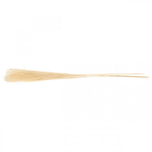 Floristik24 Dried decorative grass natural ornamental grass dry decoration 6 stems