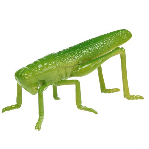 Product Grasshopper green 11cm 1p