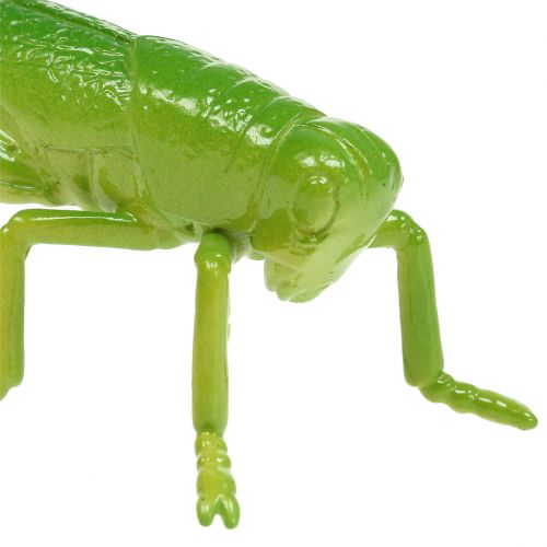 Product Grasshopper Green 11cm 1 pc