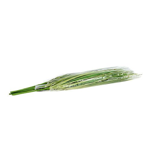Floristik24 Branch of grass with flowers 58cm green 6pcs