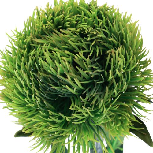 Floristik24 Green bearded carnation artificial flower like from the garden 54cm