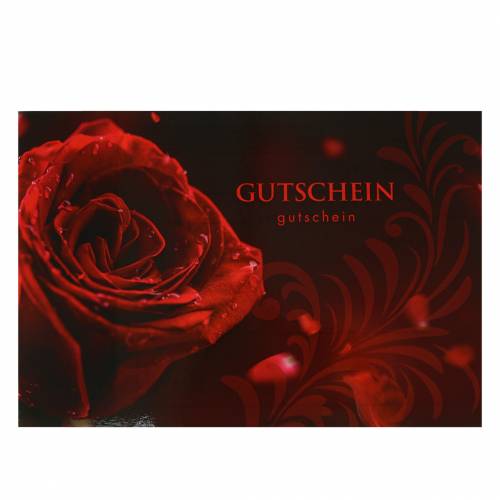 Floristik24 Voucher rose with envelope 5pcs