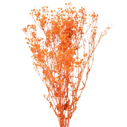 Baby's breath dried flower bouquet Gypsophila 75cm 100g buy online | Floristik24.ie