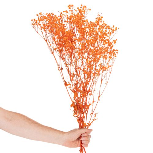 Baby's breath dried flower bouquet Gypsophila 75cm 100g | Floristik24.ie