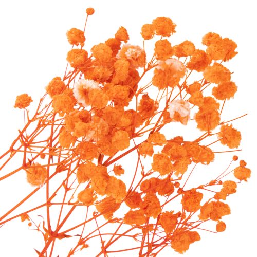 Baby's breath dried flower bouquet Gypsophila 75cm 100g | Floristik24.ie