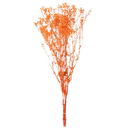 Baby's breath dried flower bouquet Gypsophila 75cm 100g | Floristik24.ie