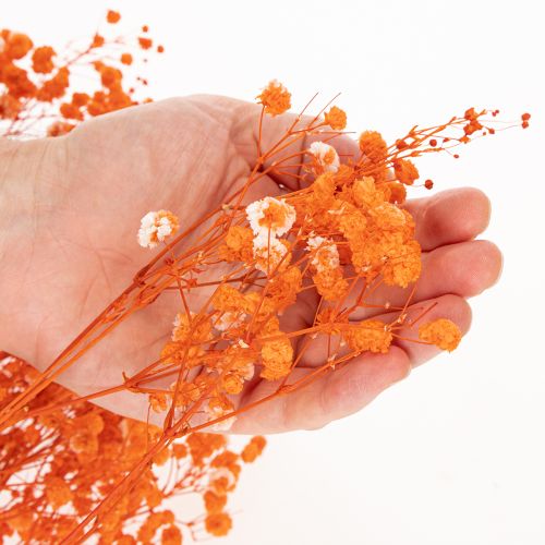 Baby's breath dried flower bouquet Gypsophila 75cm 100g | Floristik24.ie