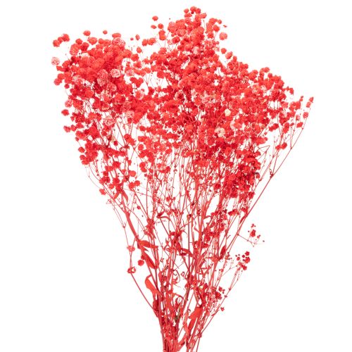 Dried Baby's Breath (Gypsophila) Bunch 75cm 100g