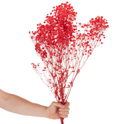 Dried Baby's Breath (Gypsophila) Bunch 75cm 100g | Floristik24.ie