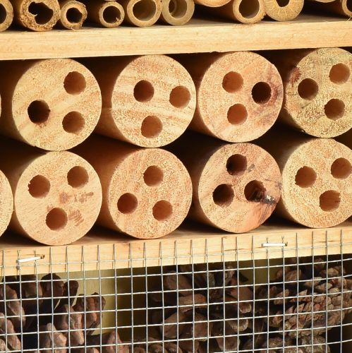 Floristik24 Insect hotel insect house light brown 25cmx8.5cmx32cm