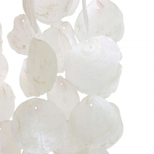 Floristik24 Hanging decoration shells Capiz wind chime decoration Ø29cm 185cm