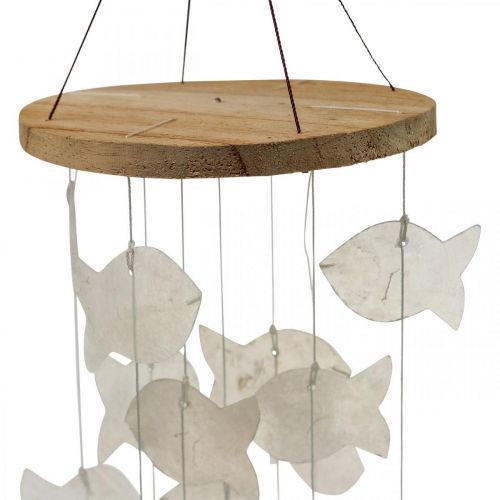 Floristik24 Hanging decoration shells Capiz wind chime garden Ø12cm L49cm