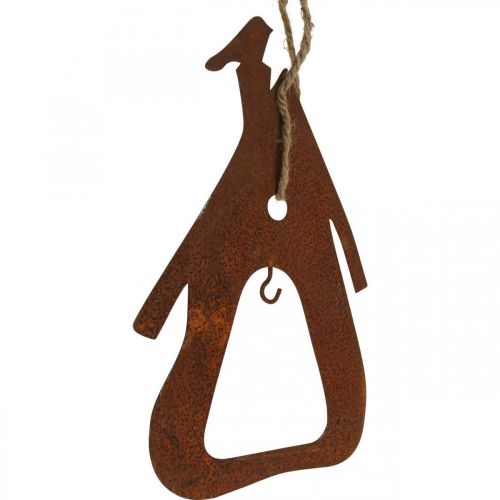 Floristik24 Deco hanger metal apple pear patina decoration 23/24cm 2pcs