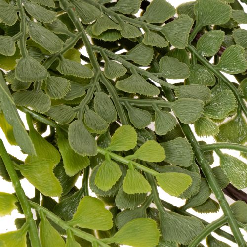 Artificial fern branch, delicate, for vase, 80cm | Floristik24.ie