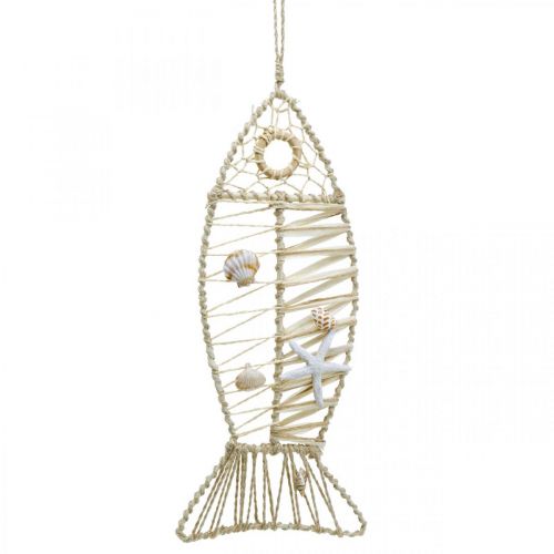 Maritime fish decoration with wickerwork and shells, decoration hanger fish shape nature 38cm | Floristik24.ie