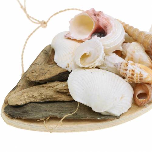 Floristik24 Maritime decoration for hanging fish with shells wood 18cm