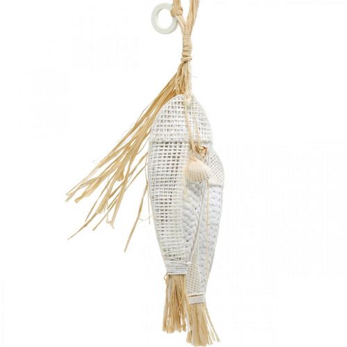 Floristik24 Fish to hang, maritime, decoration hangers with fish, tropical party decorations
