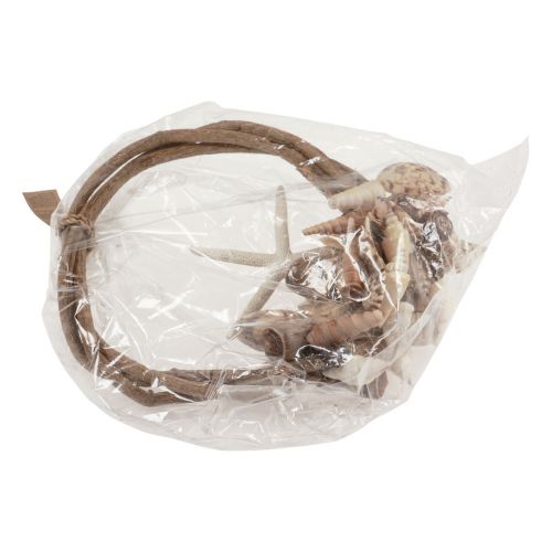 Product Decorative ring wood sea snail shell decoration natural Ø25cm