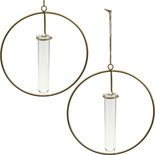 Floristik24 Decorative ring for hanging test tube golden metal Ø16cm 4pcs