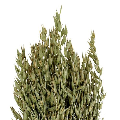 Product Bunch of oats natural 1bunch of decorative oats
