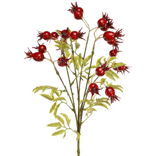 Floristik24 Rosehips artificial decorative branches with 7 fruits dark red 48cm