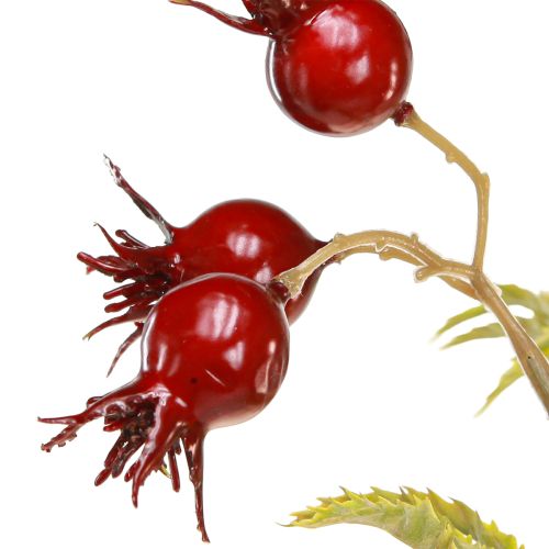Product Rosehips artificial decorative branches with 7 fruits dark red 48cm