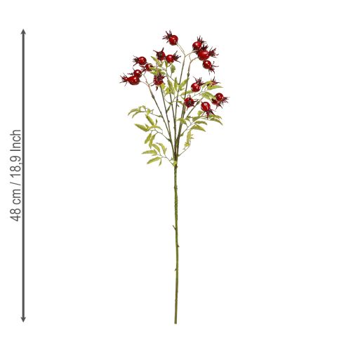 Product Rosehips artificial decorative branches with 7 fruits dark red 48cm