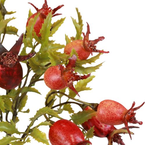Product Rosehip decoration rosehip branches artificial L48cm 3pcs