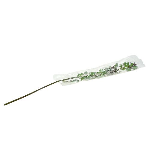 Floristik24 Rose hip branch L92cm with snow