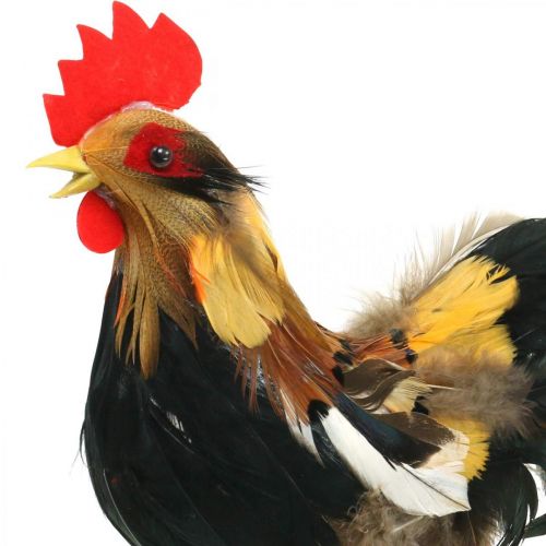 Floristik24 Deco rooster with feathers yellow spring decoration figure easter 24cm