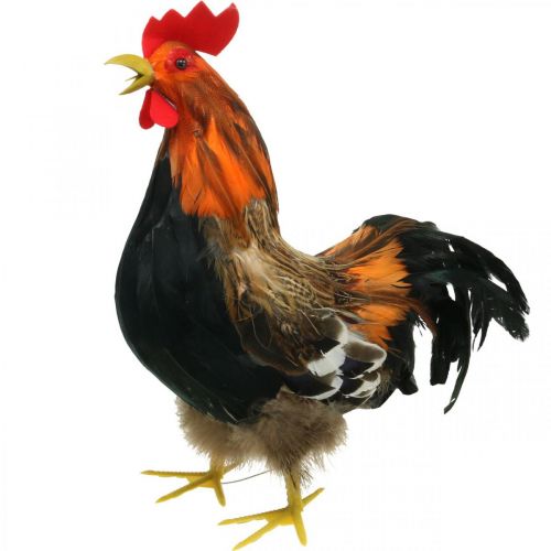 Floristik24 Decorative rooster with feathers Easter decoration figure farm rooster 36cm