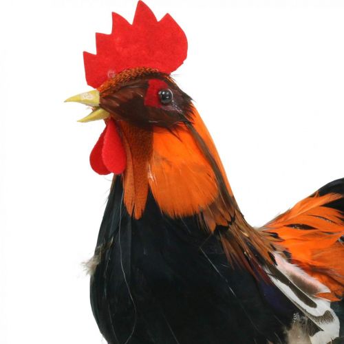 Decorative rooster with feathers decorative figure Easter spring decoration 24cm