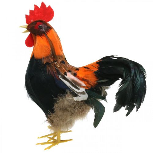 Floristik24 Decorative rooster with feathers decorative figure Easter spring decoration 24cm