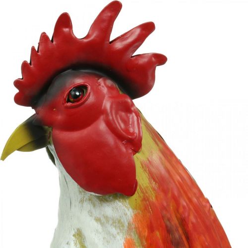 Decorative rooster metal colorful garden decoration figure metal decoration 58×13×50cm