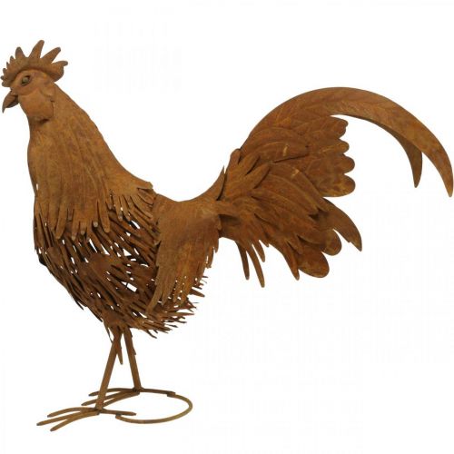 Floristik24 Rooster rusty garden decoration patina decoration figure metal 58×13×50cm