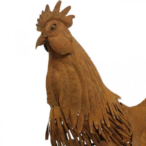 Product Rooster rusty garden decoration patina decoration figure metal 58×13×50cm
