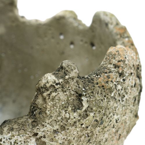 Floristik24 Concrete ball for planting Ø15cm H13.5cm