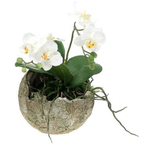 Floristik24 Concrete ball for planting Ø17cm H17.5cm