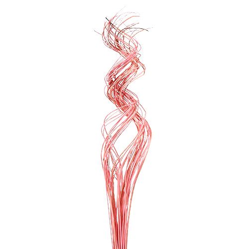 Floristik24 Half Curly Willow 100cm Pink 30 pcs