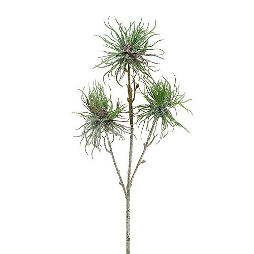 Witch hazel branch 44cm green, silver 1p