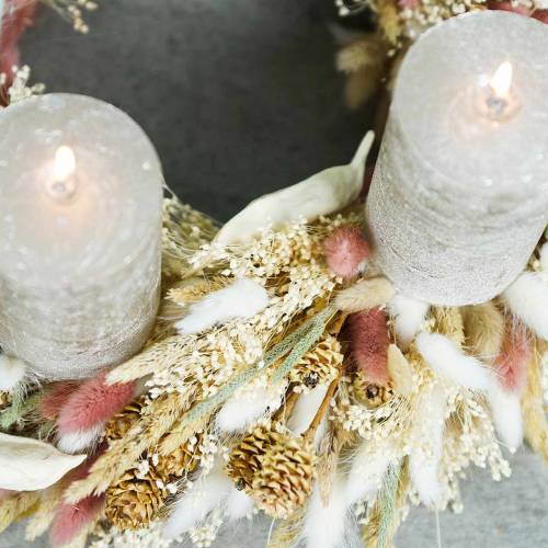 Floristik24 Dry floristry rabbit tail grass Lagurus reddish brown 100g